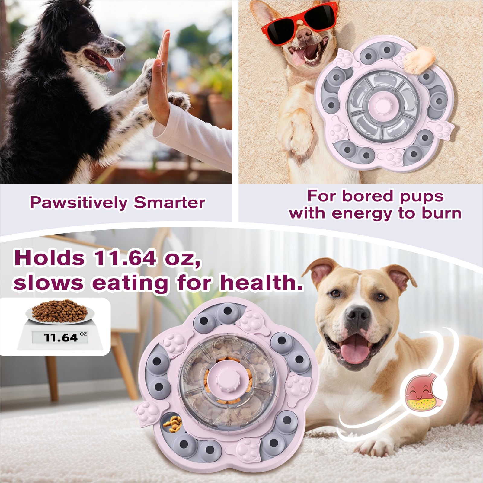 KADTC slow feeder with food-compartment promotes slower eating.