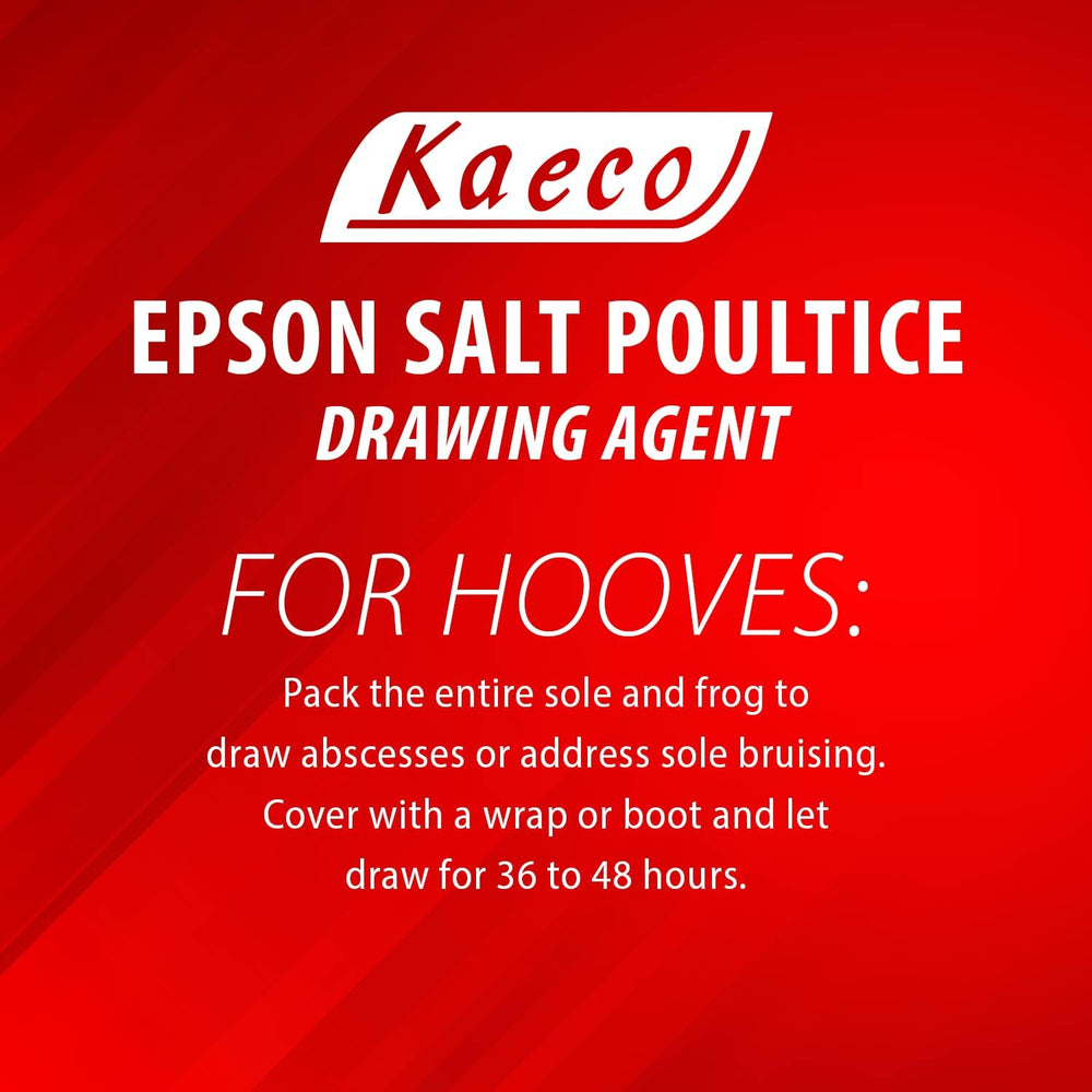 Kaeco Epsom Salt Poultice abscess drawing demonstrates target-use for foot abscess care