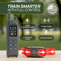 Kailo's Creations 360-degree LED safety lights improve night visibility during walks.