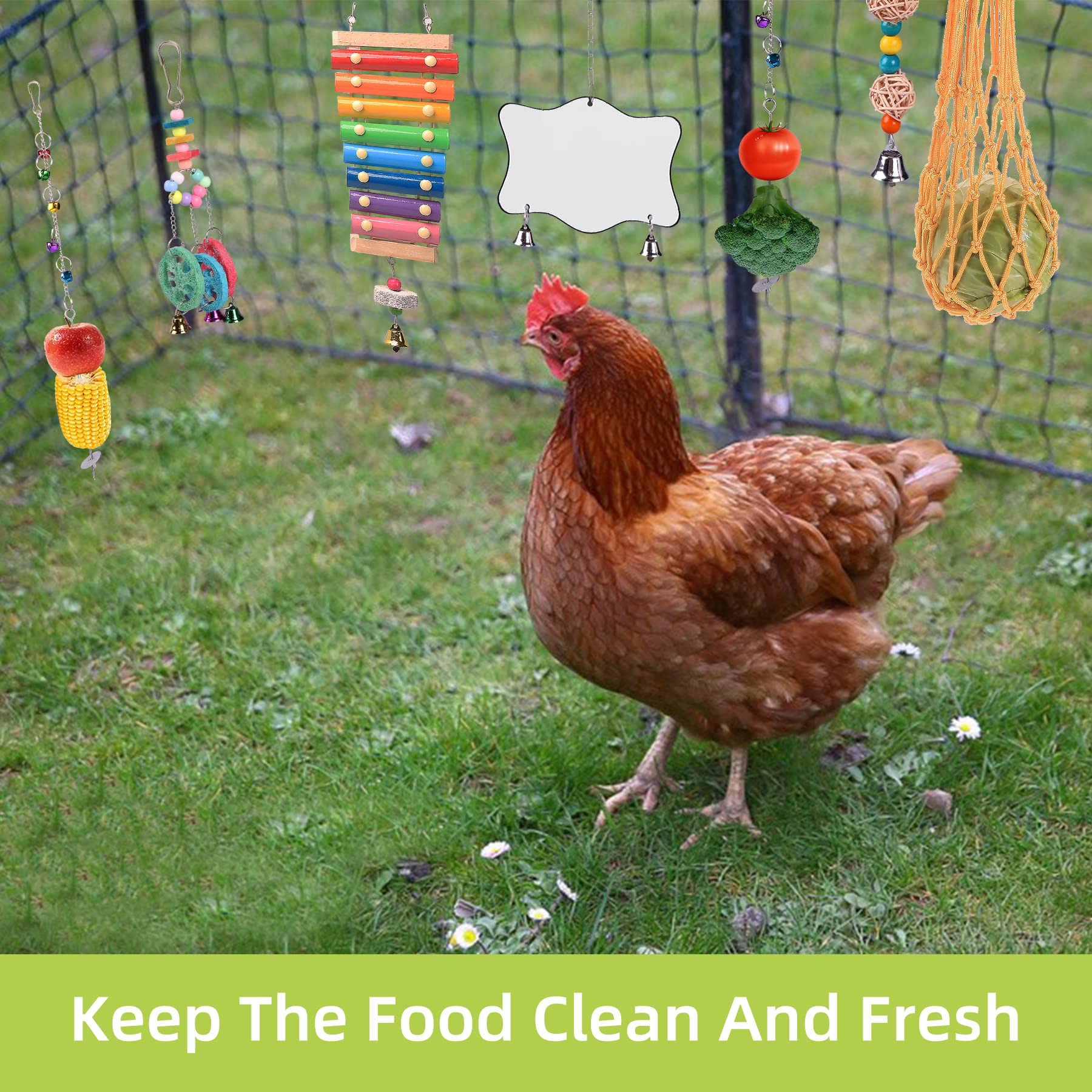 KAKUNM chicken mirror toy for social curiosity in the coop