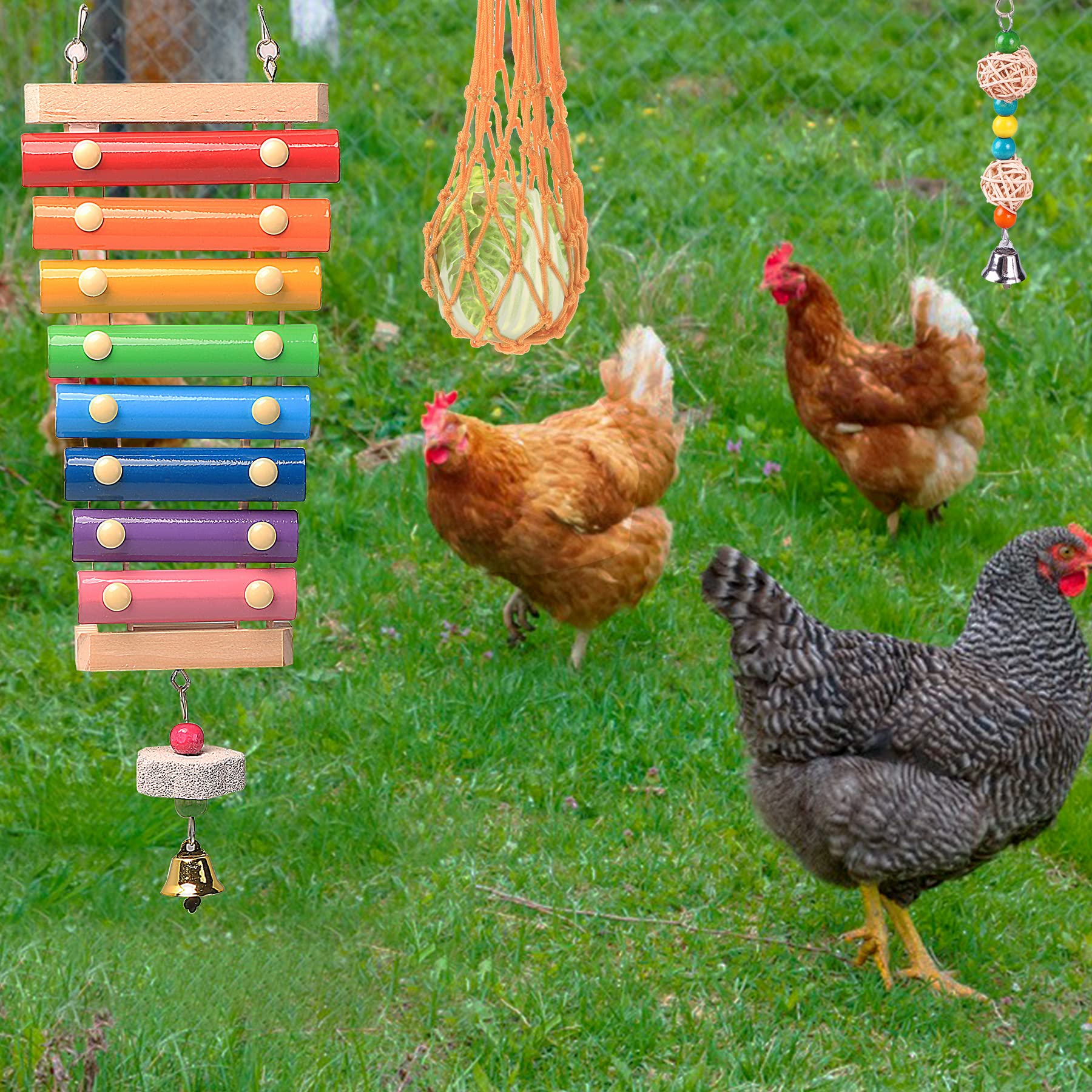 KAKUNM fruit skewers hanging feeder for foraging and snacking