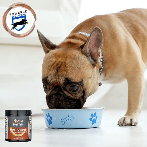 KALA HEALTH PeakTails MSM powder supports active dogs during walks and play.