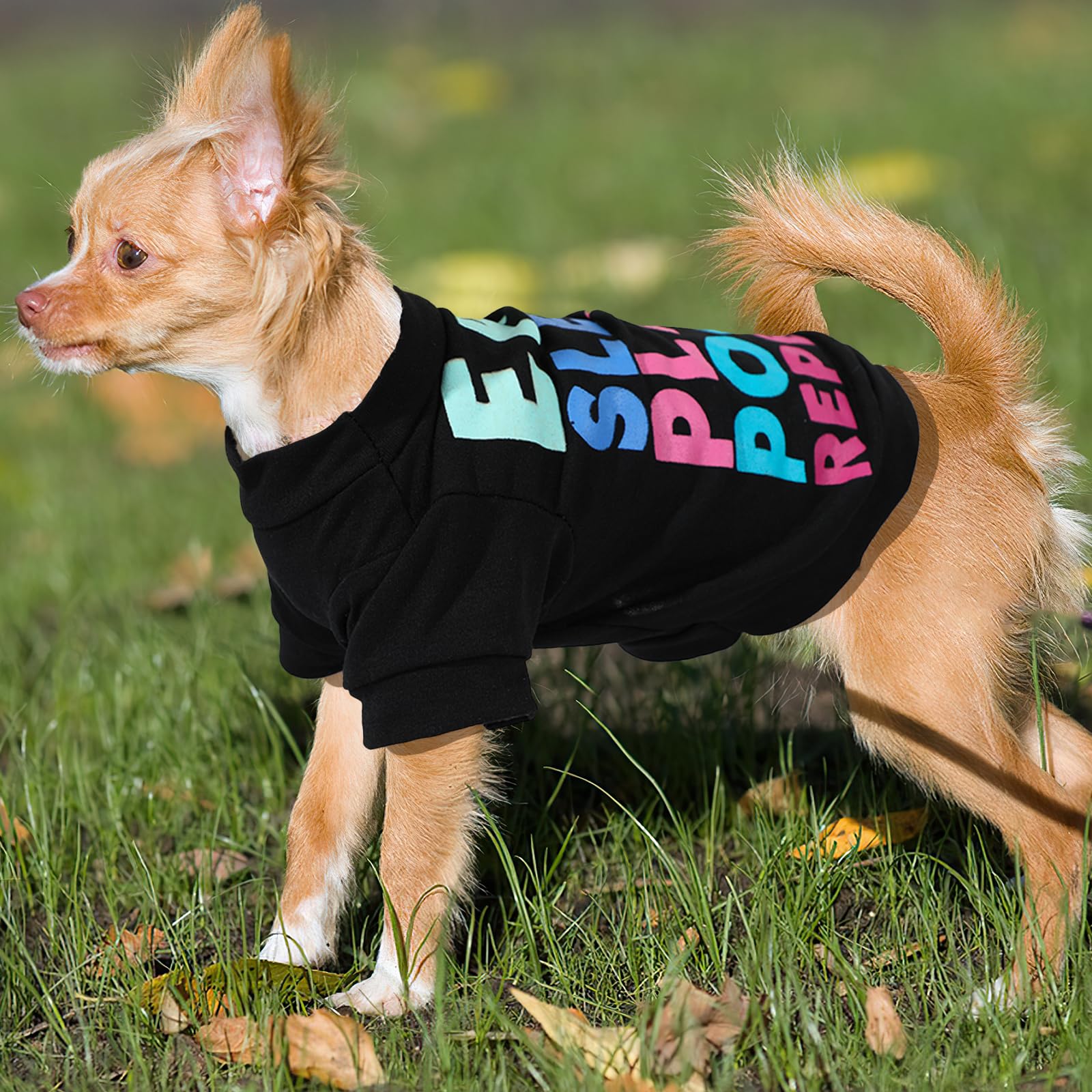 Kallfir-cutie photo shoot ready dog clothes for cute moments.