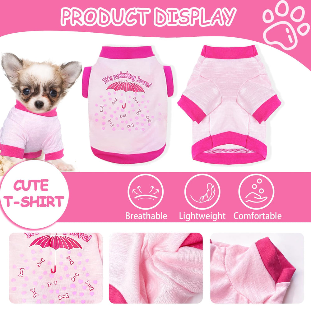 Kallfir's cutie cat wearing dog shirt demonstrates adaptability for small pets