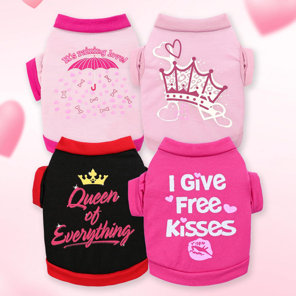Kallfir's cutie multi-season puppy clothes use suggests year-round wear