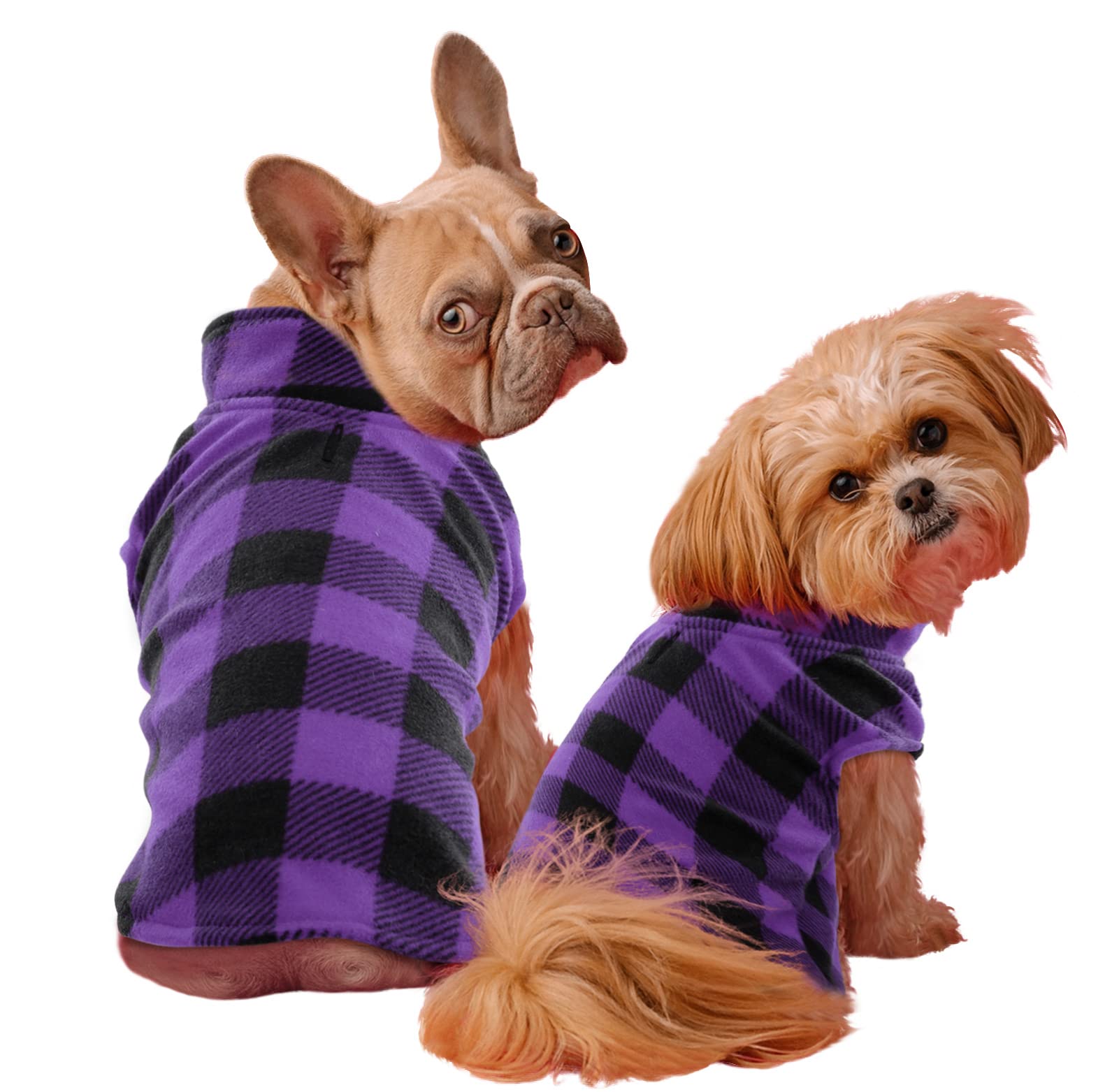 Kama Bridal dog coat with purple plaid perfect for birthday parties and photo-worthy moments.