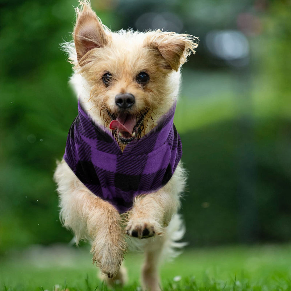 Kama Bridal dog coat size chart image shows XXS-L fit for small to medium pets.