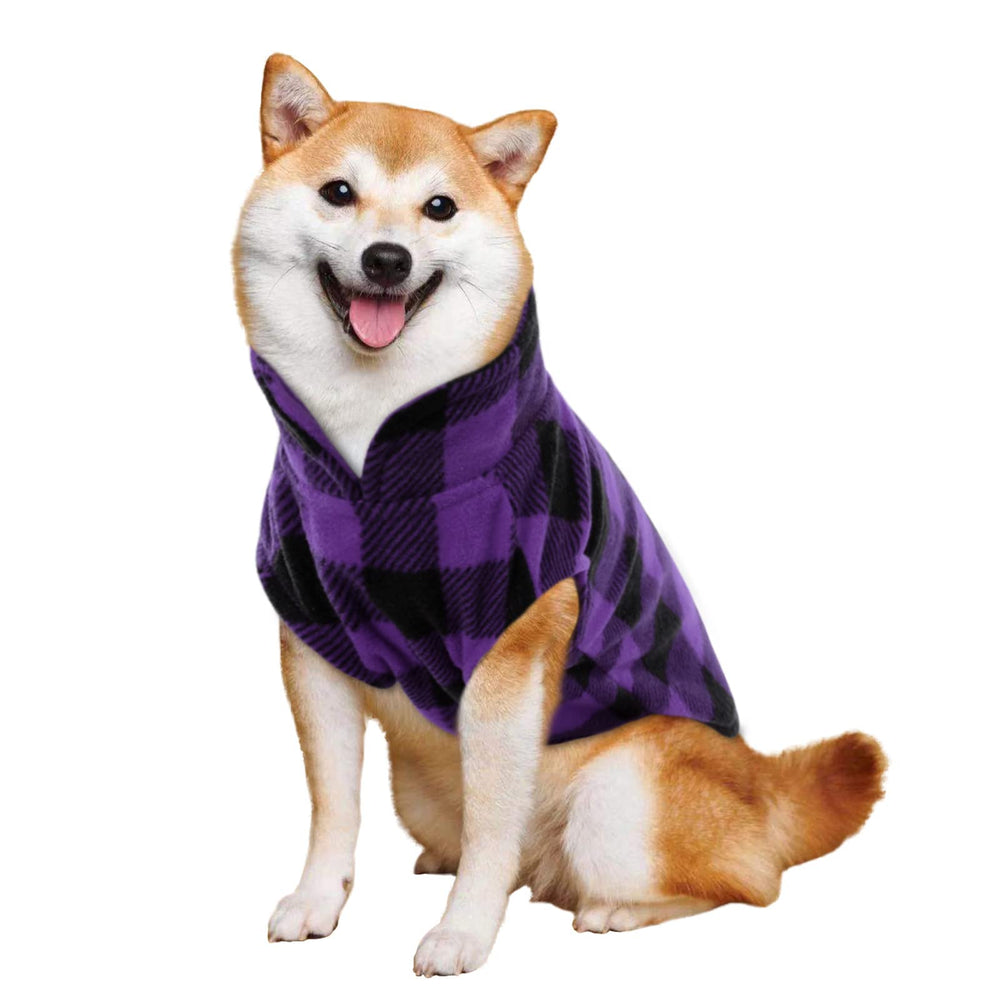 Kama Bridal dog coat on a pet during autumn walk highlights windproof design.
