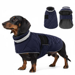 Kama Bridal dog winter coat 3-layer warmth and water resistance for cold daily walks.