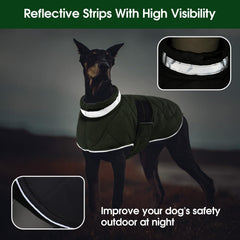 KAMA BRIDAL dog winter coat back view with leash hole green L for safe walks
