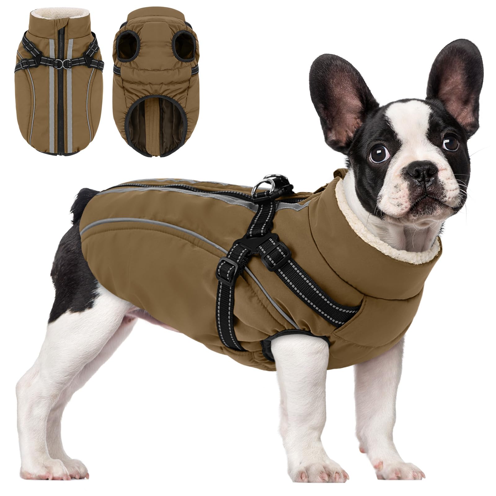 KAMA BRIDAL dog winter coat back view highlights warm windproof outer layer.