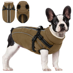 KAMA BRIDAL dog winter coat back view highlights warm windproof outer layer.