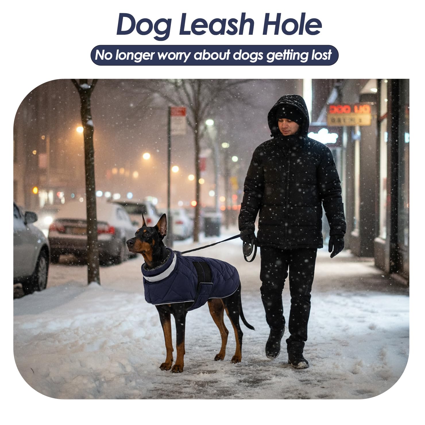 Kama Bridal dog coat suits snowy outdoor adventures with comfort and confidence.