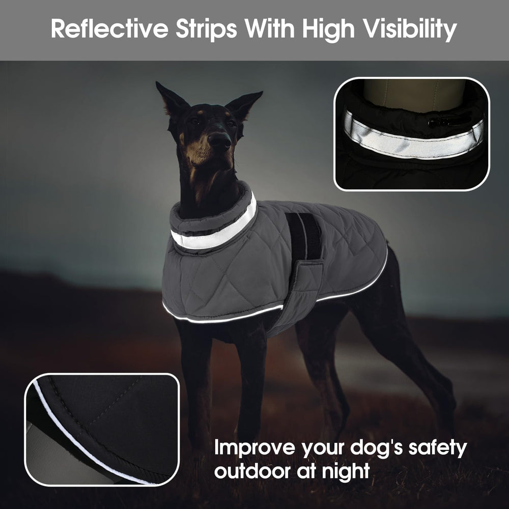 KAMA BRIDAL dog coat easy-wear design demonstrating 2-step put-on process