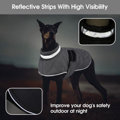 KAMA BRIDAL dog coat easy-wear design demonstrating 2-step put-on process