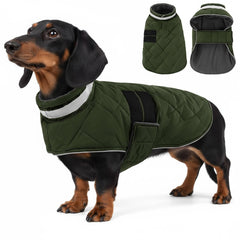 KAMA BRIDAL dog winter coat green XS front view for warm outdoor walks