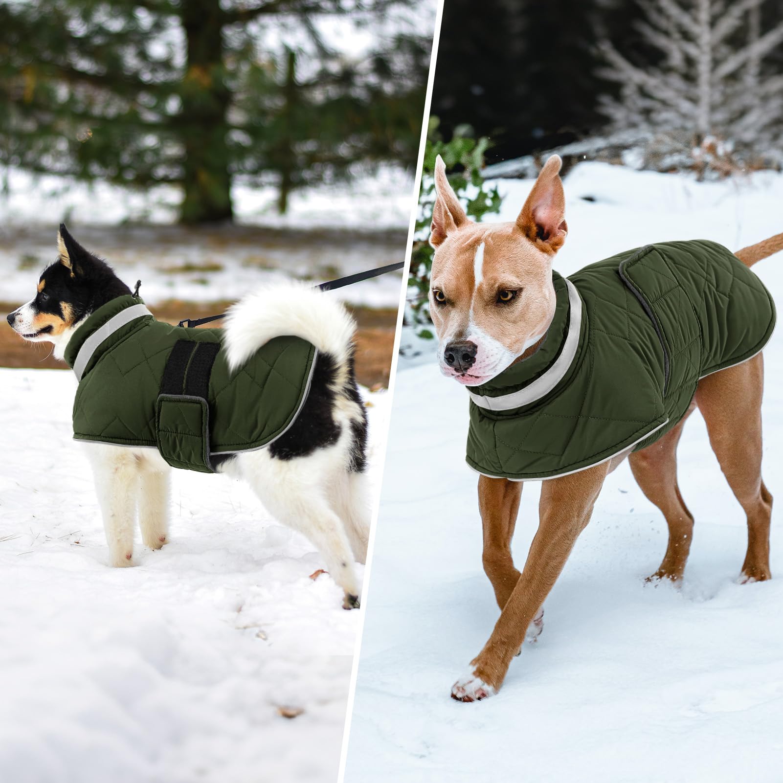 KAMA BRIDAL dog winter coat indoor-outdoor use green L keeps dog comfy anywhere