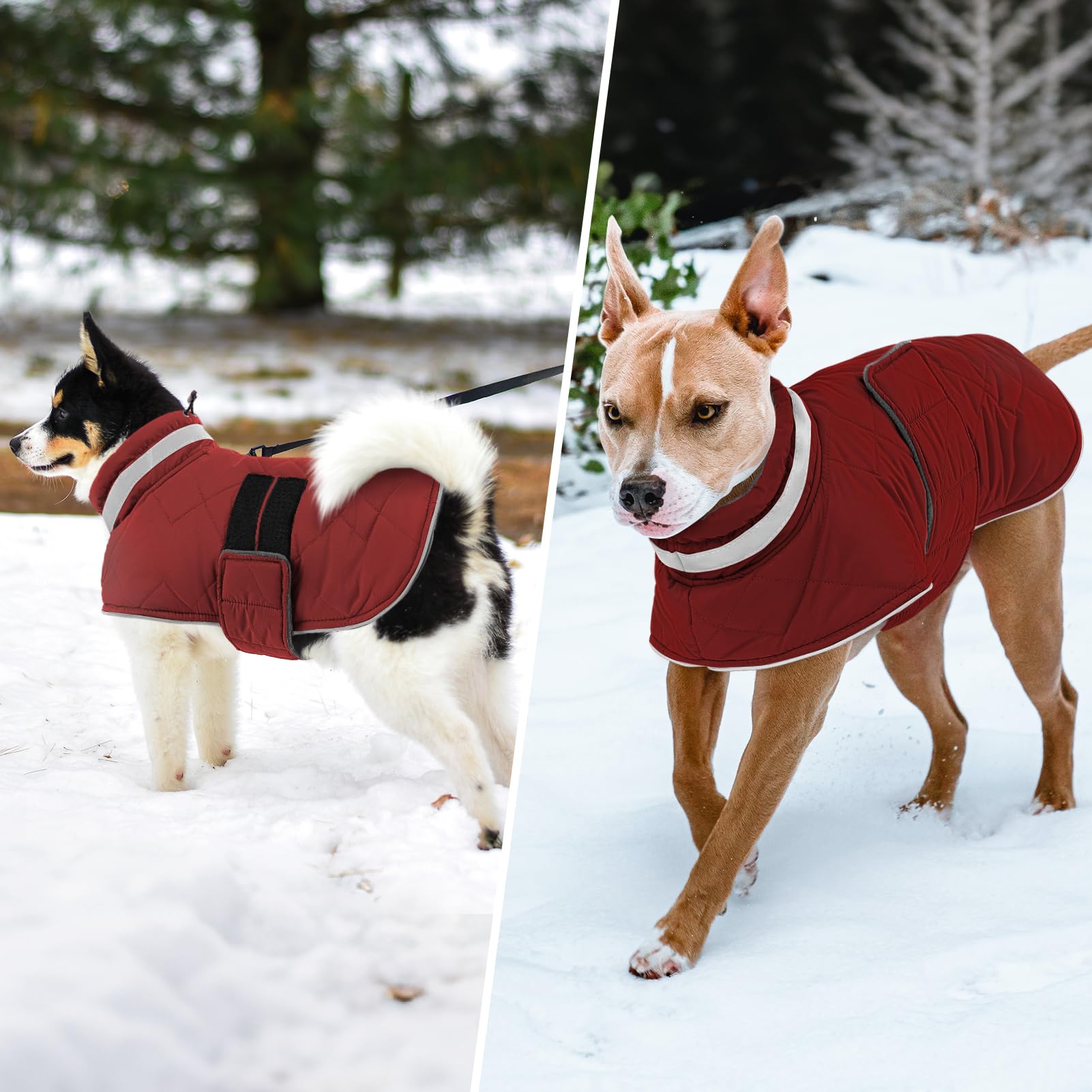 KAMA BRIDAL versatile indoor outdoor coat for daily wear.