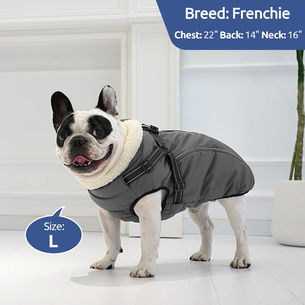 KAMA BRIDAL size L coat suited for larger dogs with chest-first fit.