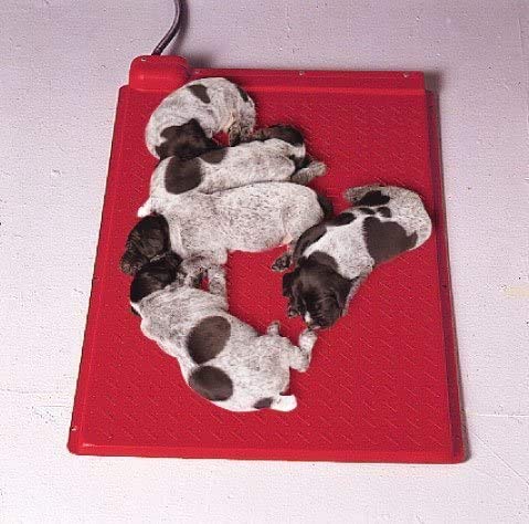 KANE Electric Pet Heat Mat 18x18 outdoor use in kennels keeps animals warm