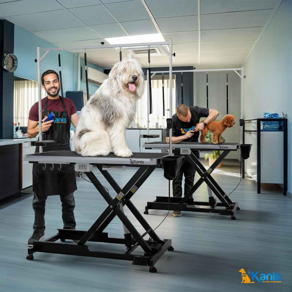 KANIS dog grooming station plug-and-play setup simplifies startup for pros and hobbyists.
