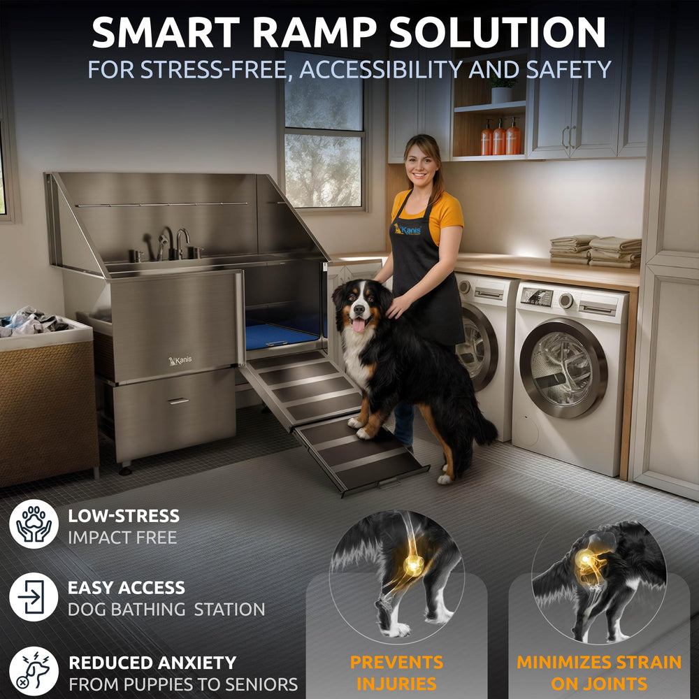KANIS foldable entry ramp with watertight door reduces mess