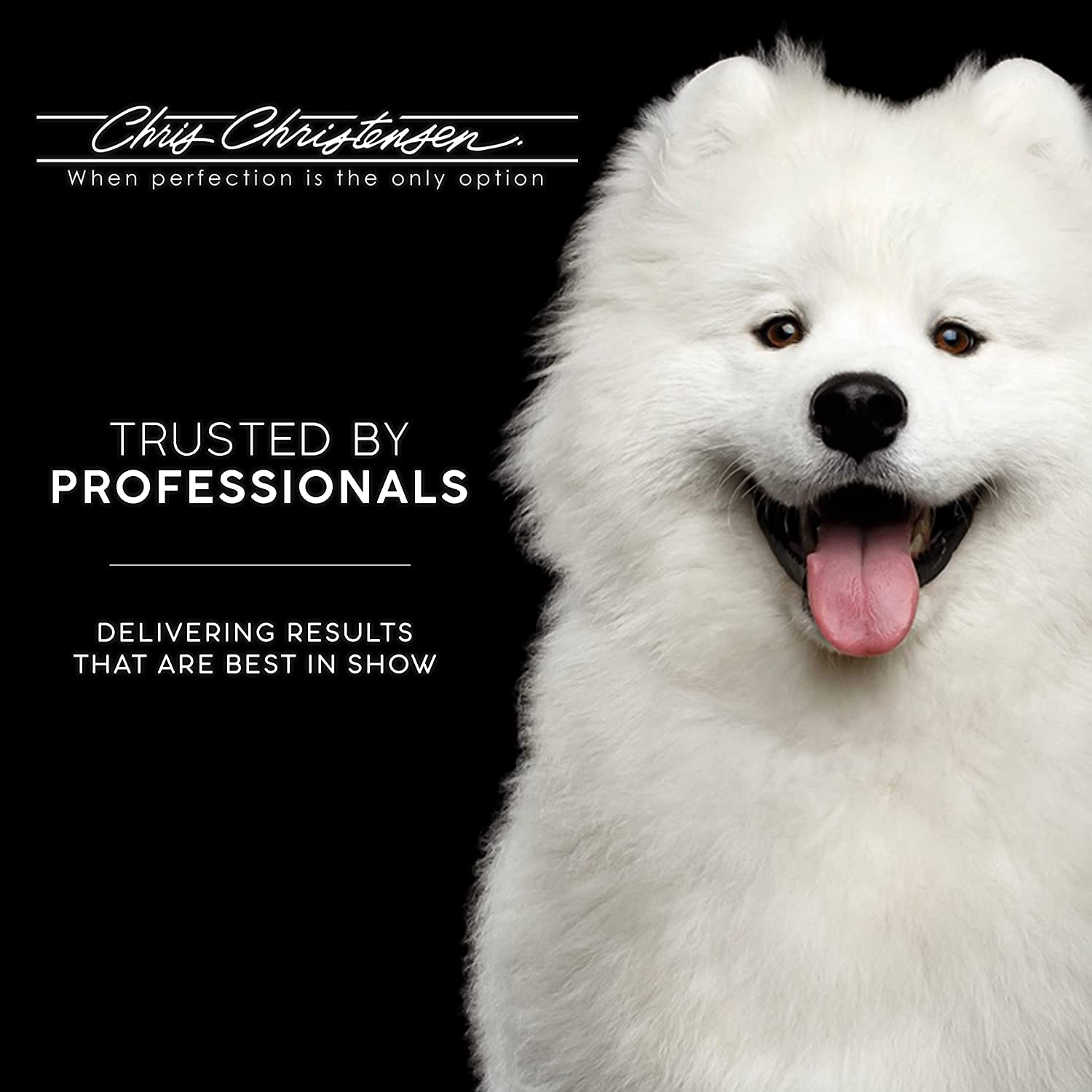 Chris Christensen Karben II slicker brush used in grooming sessions to fluff coats
