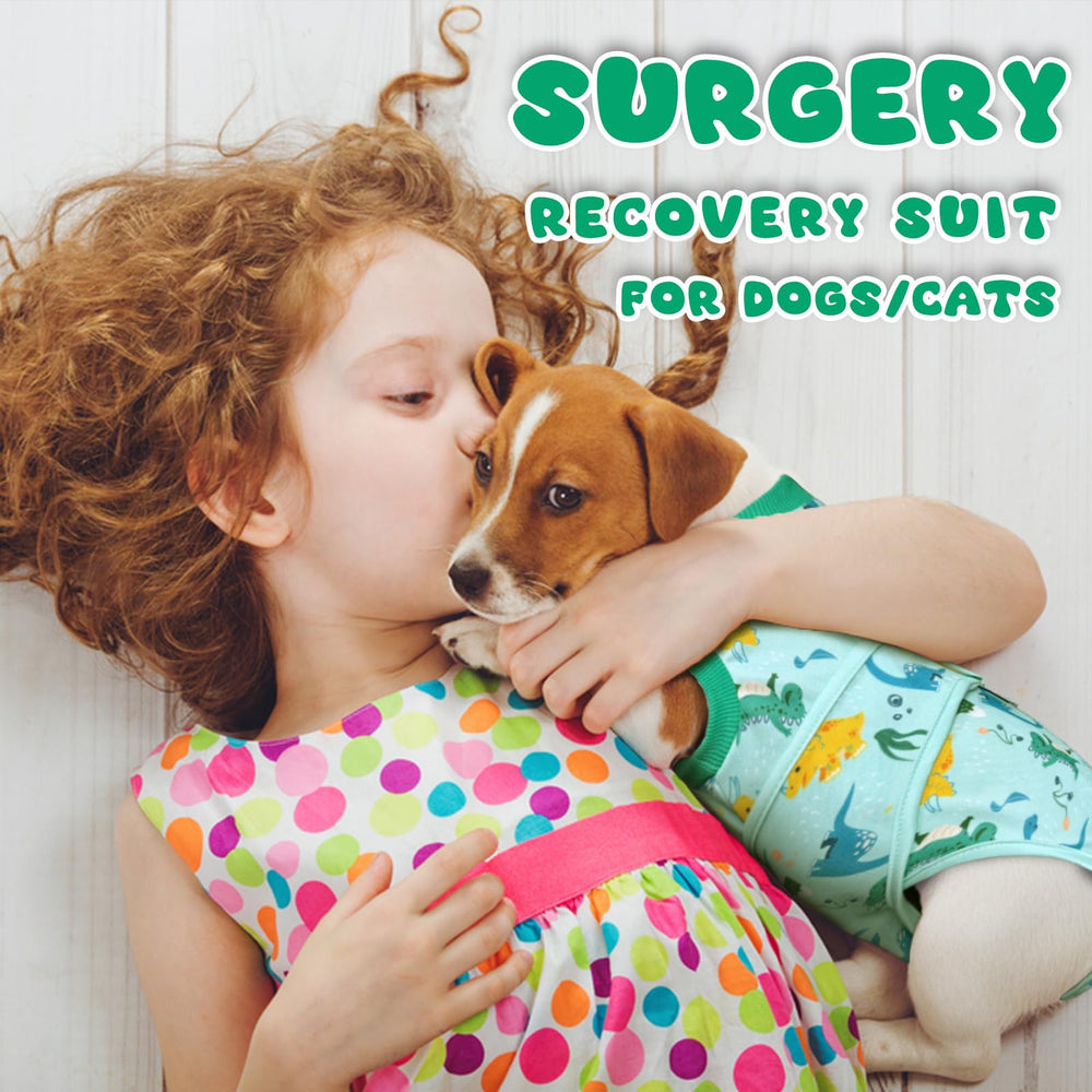 KAROKU anti-licking dog shirt shows recovery-friendly design.