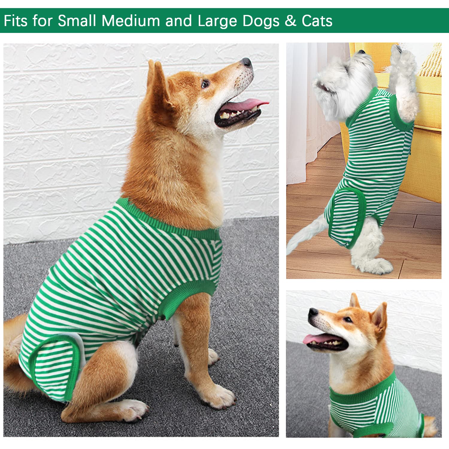 KAROKU dog wearing recovery suit during daily activities for comfortable movement
