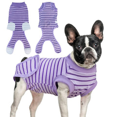 KAROKU dog recovery suit purple medium front view protects wounds and supports mobility
