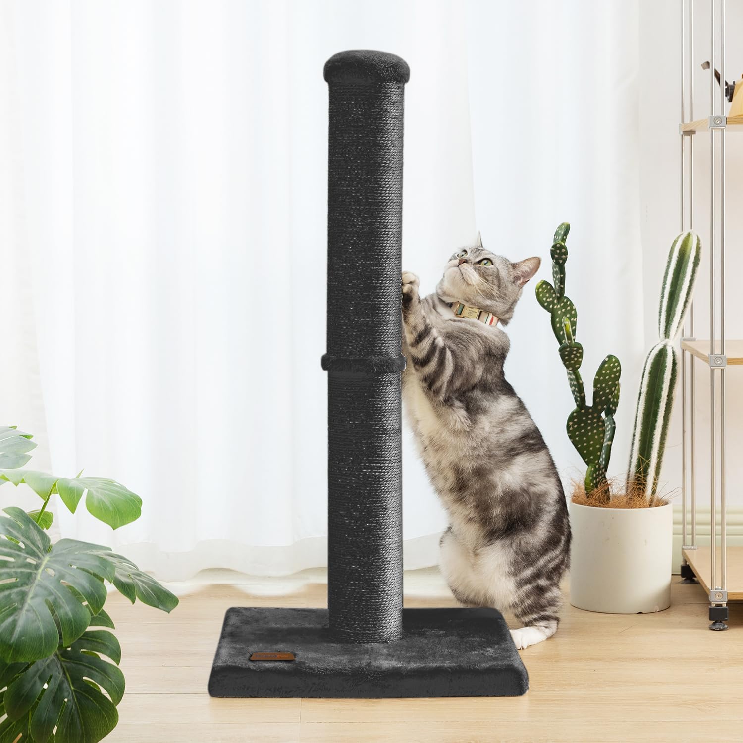 Karolpar 34-inch cat scratching post assembles quickly and is easy to maintain.
