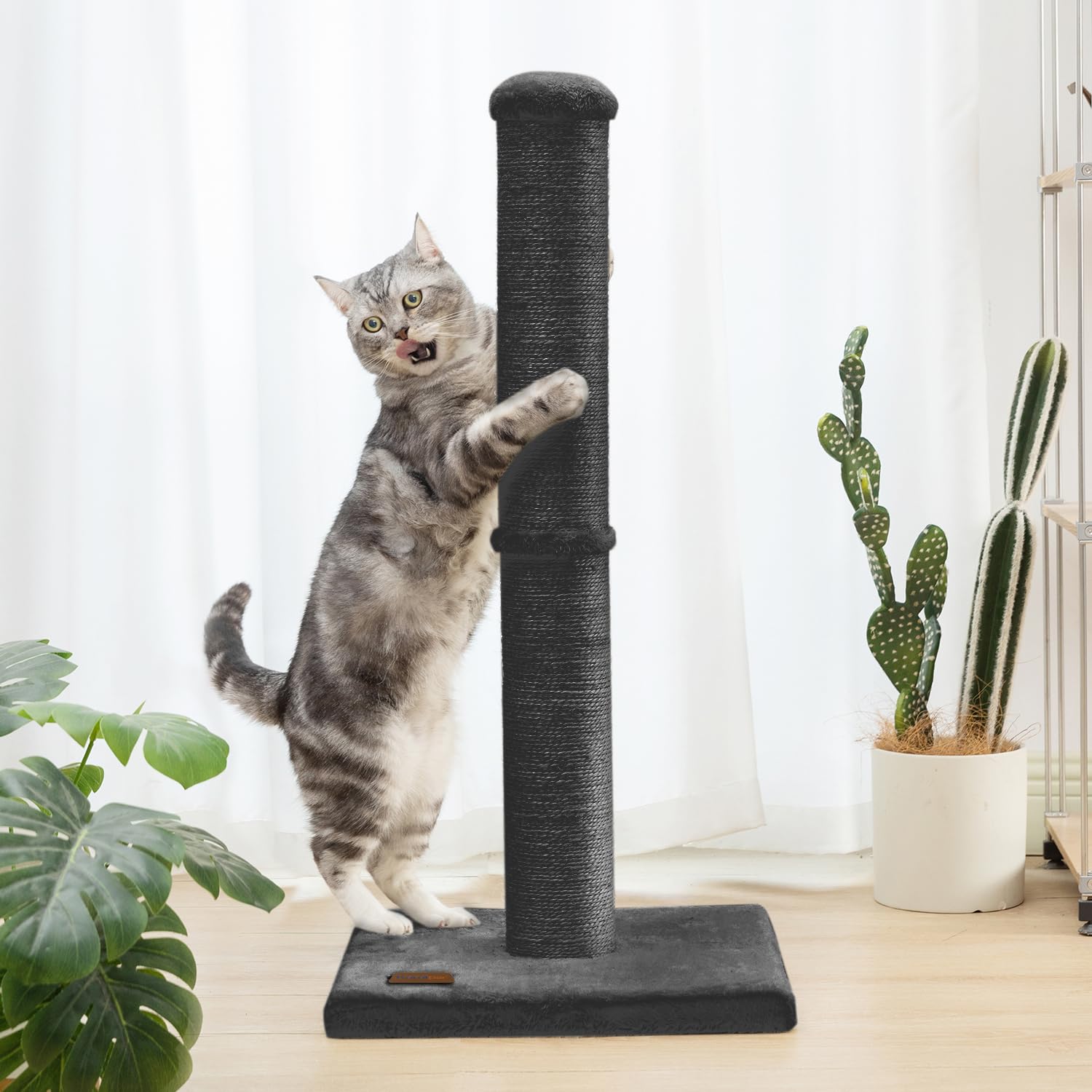 Karolpar 34-inch indoor-use black scratching post adds sleek style and indoor durability.