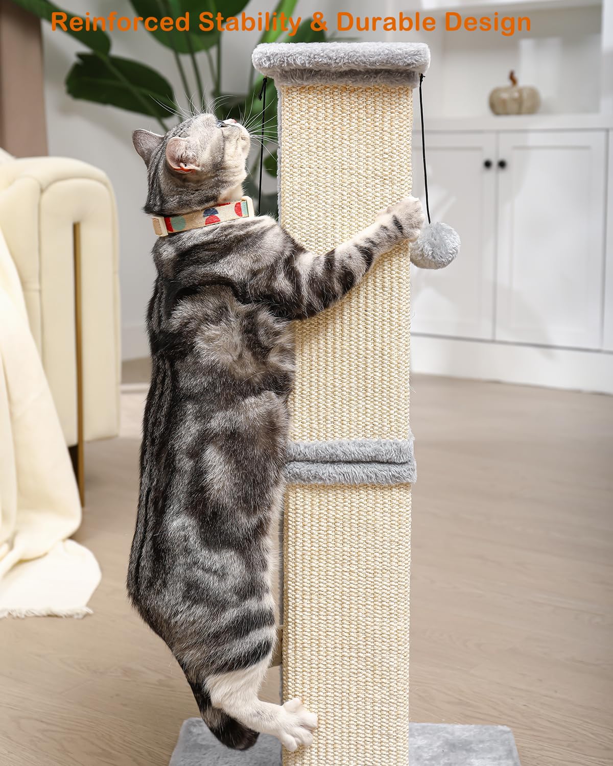 Karolpar cat enjoying the 33-inch post indoors during play.