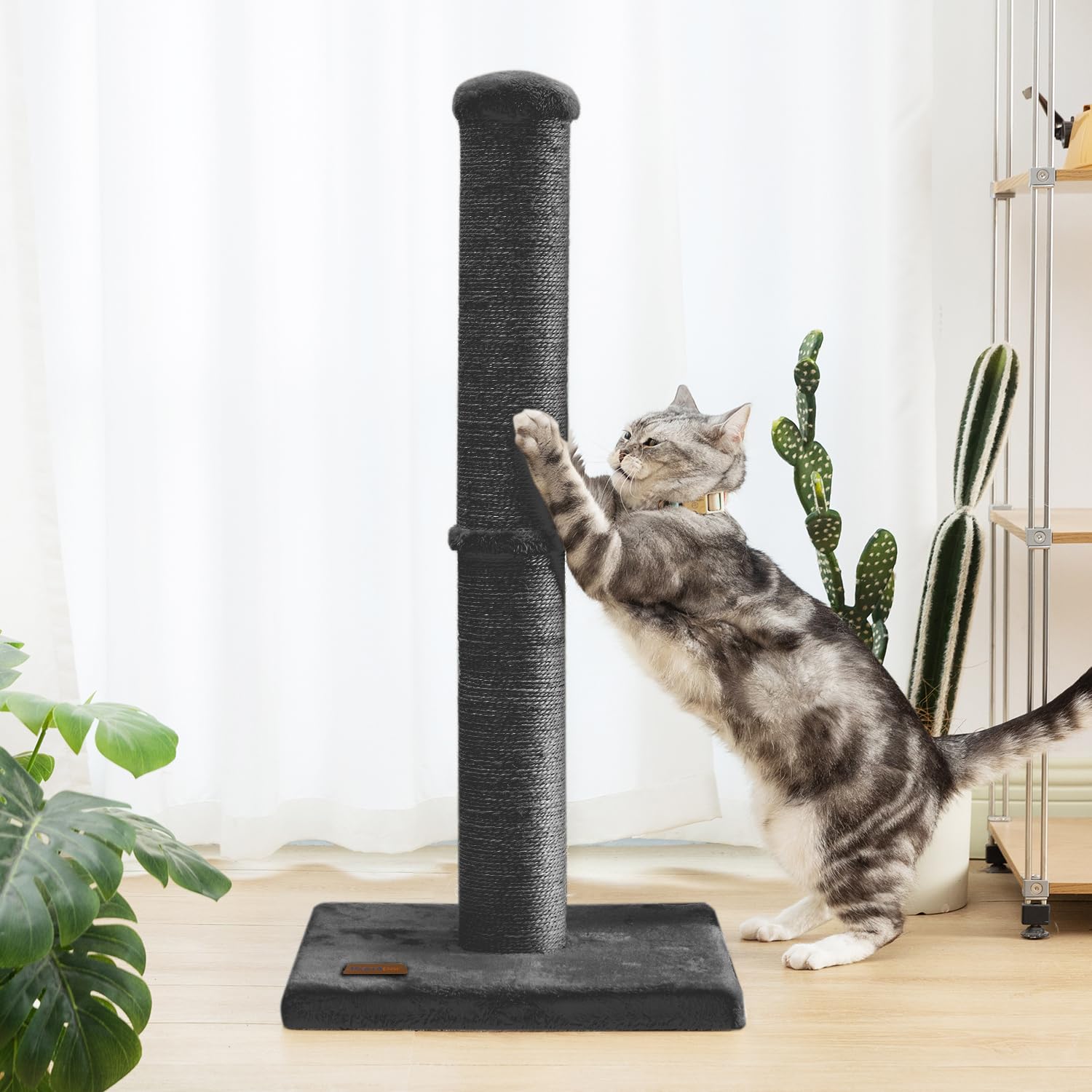 Karolpar stable-base design reduces tipping during playful sessions.