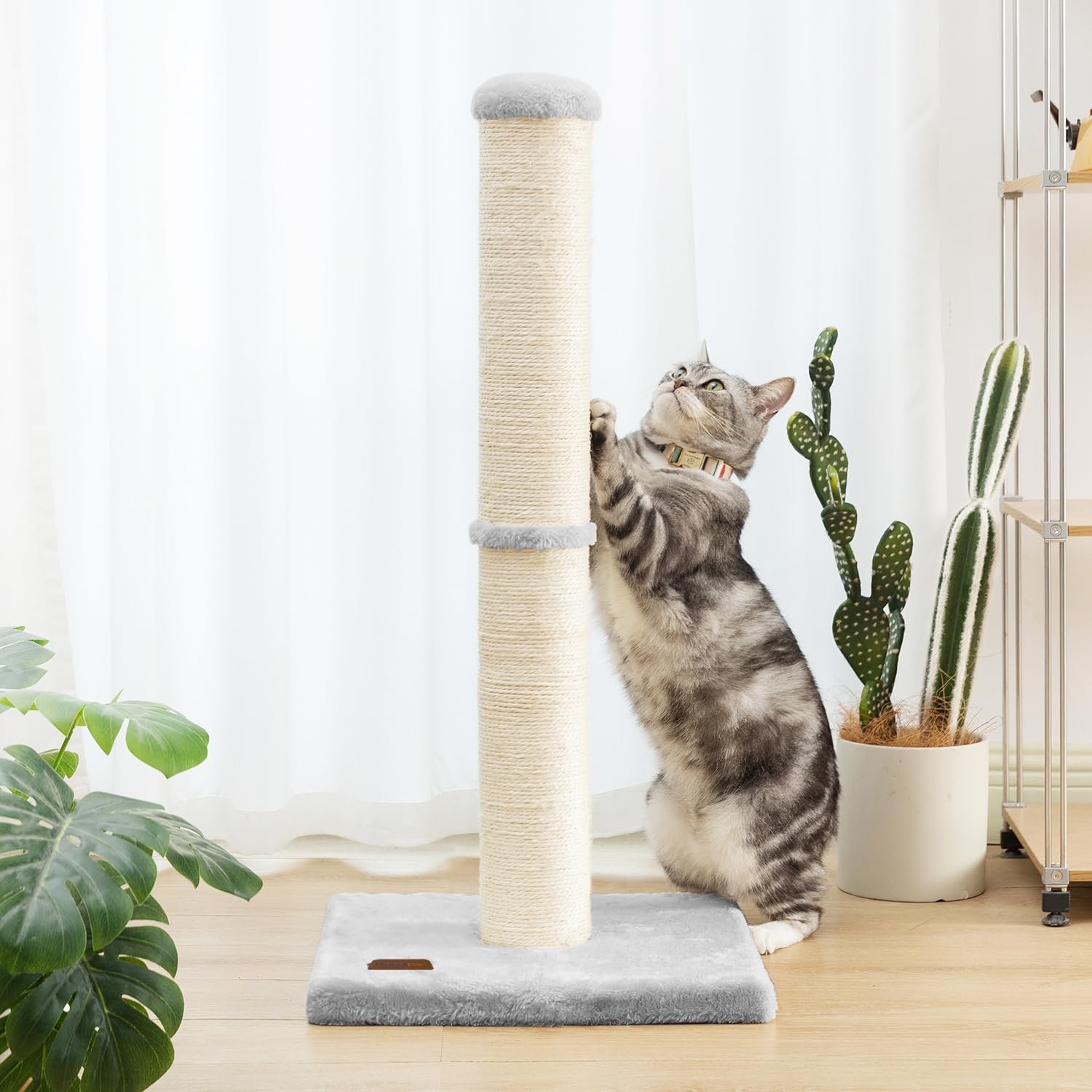 Karolpar durable construction supports long-lasting use and repeated scratching.