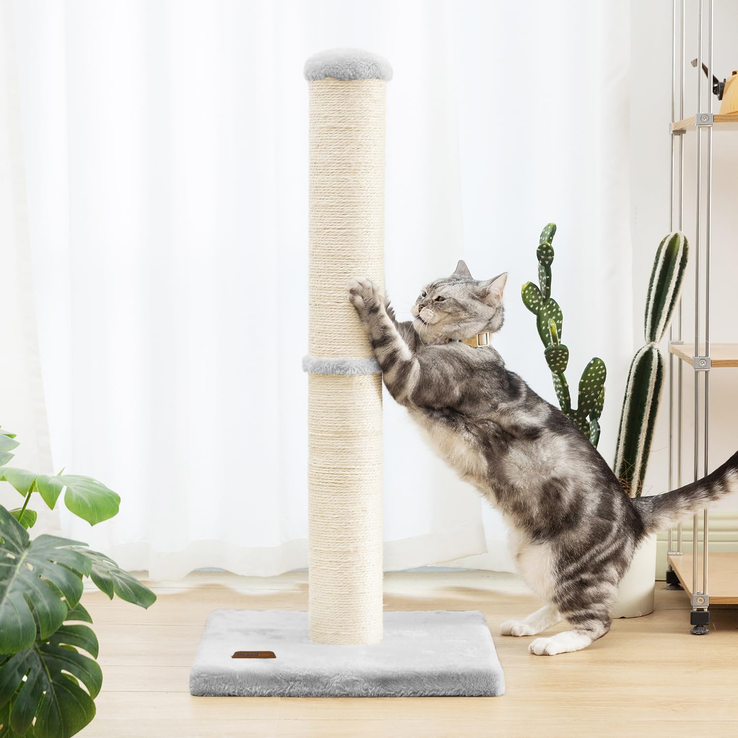 Karolpar easy-assembly scratching post enables quick setup and simple maintenance.