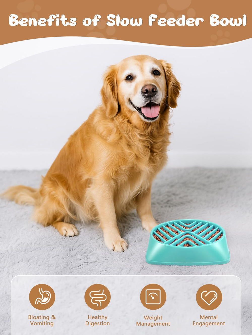 KASBAH large-breed bowl shown with non-slip pads helps reduce mess during meals.