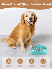 KASBAH large-breed bowl shown with non-slip pads helps reduce mess during meals.