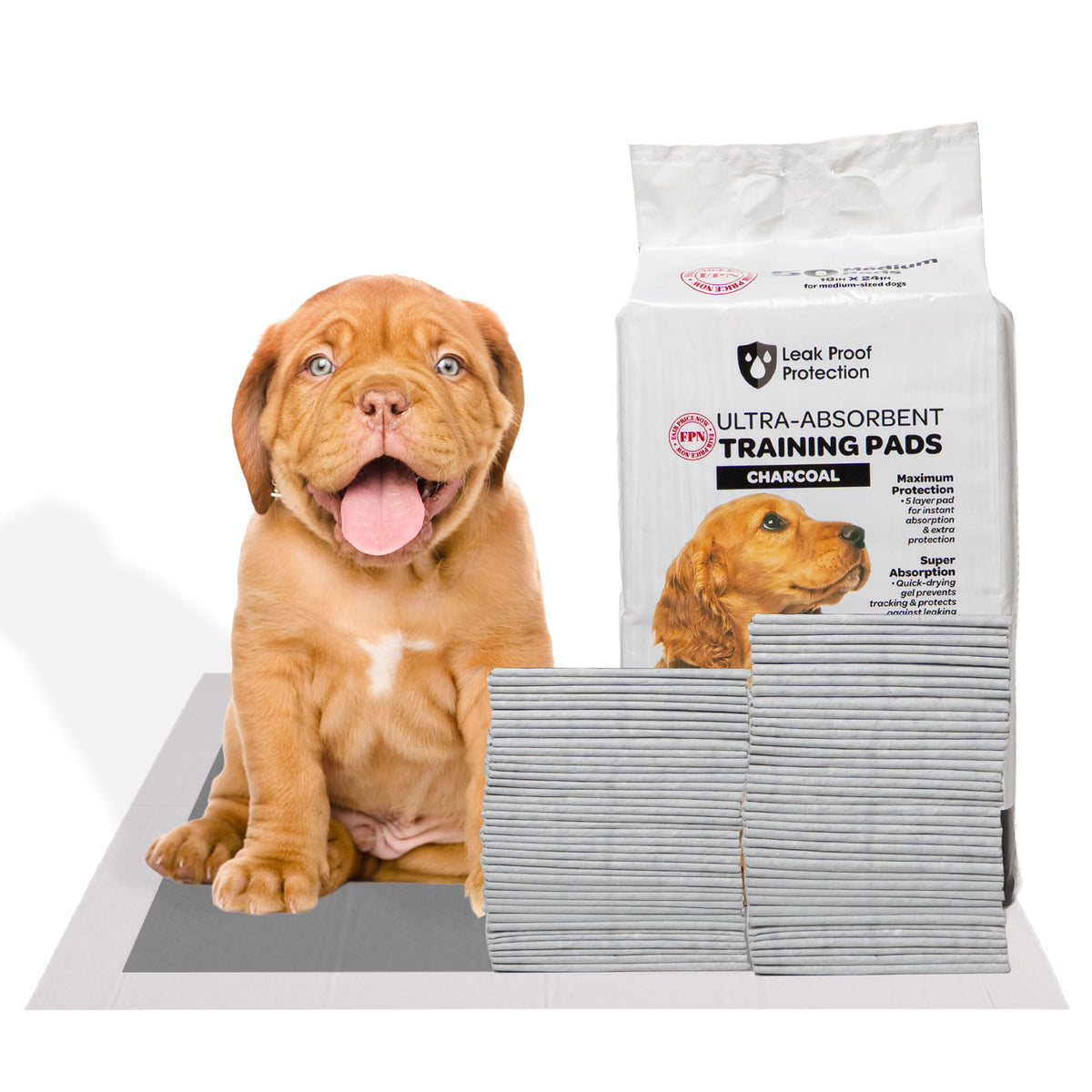 Kashmir FPN charcoal pads design highlights stylish odor-control for homes.