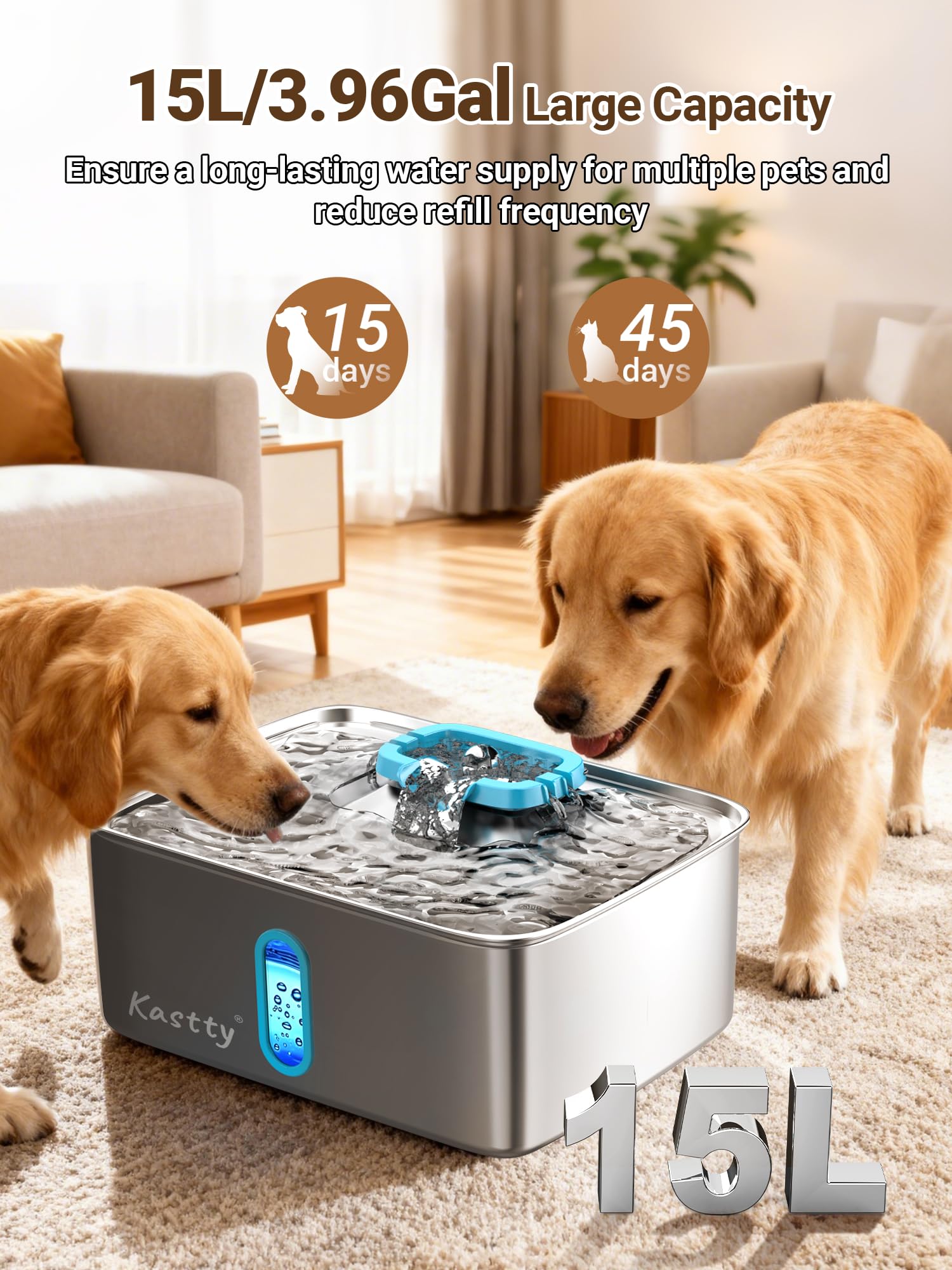 Kastty 304 stainless-steel dog water bowl close-up highlights durable, easy-clean design.