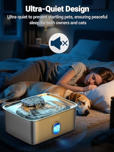 Kastty water level window captures quick checks for continuous hydration.