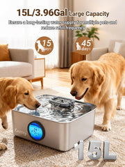 Kastty stainless steel water fountain with ultra-quiet pump for peaceful home pet care.