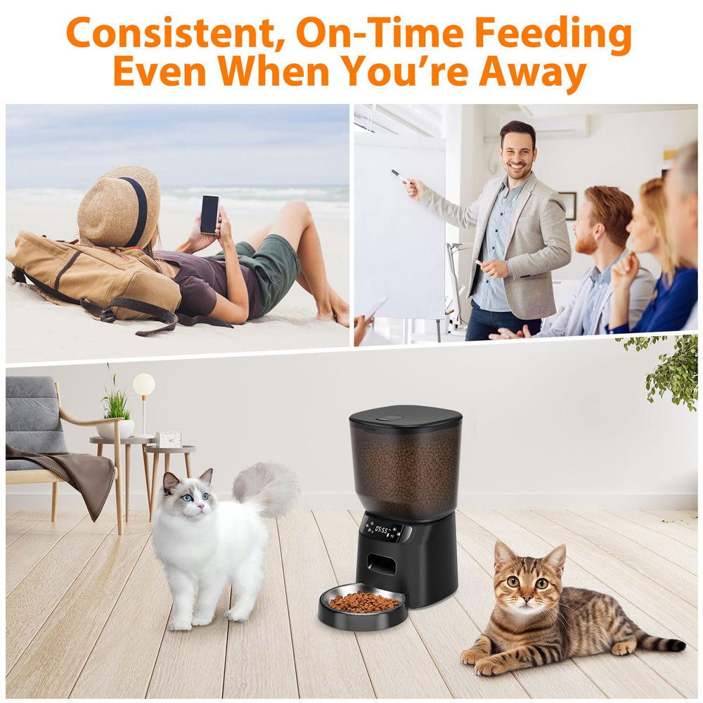 Katalic 4L capacity stores dry food for days of meals.