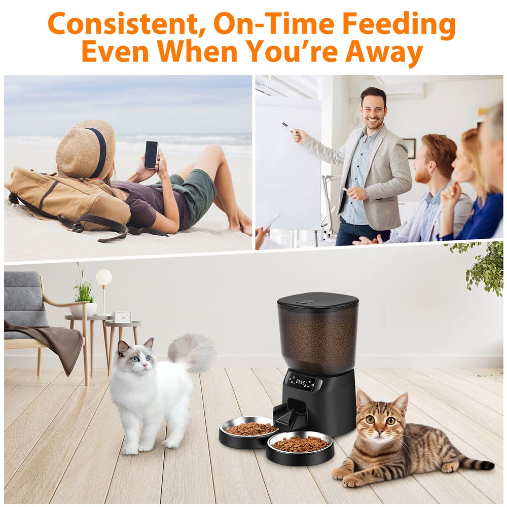 Katalic outdoor-ready feeder works with wall power or batteries.