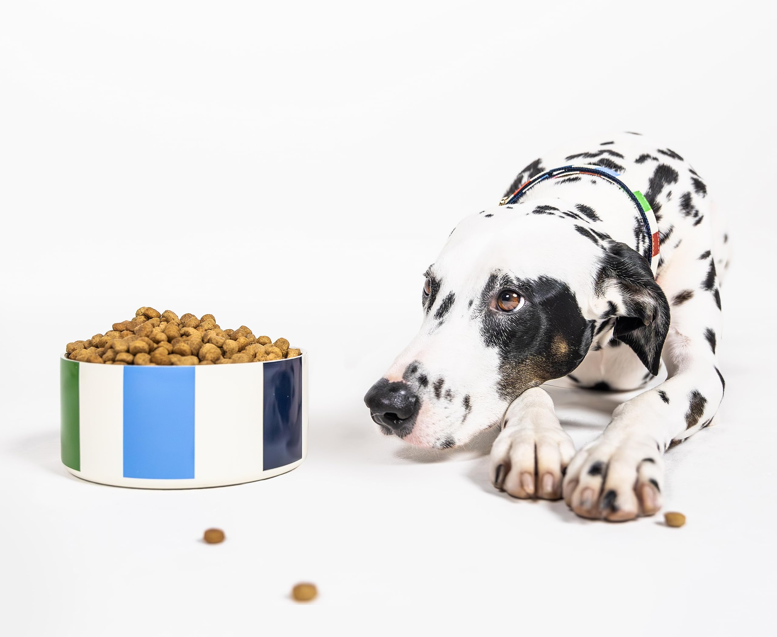 kate spade new york dog dish non slip base keeps bowl steady during meals