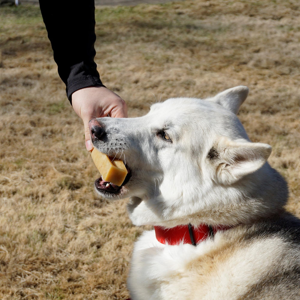 KATHMANDU'S chew texture supports dental hygiene and boredom relief.