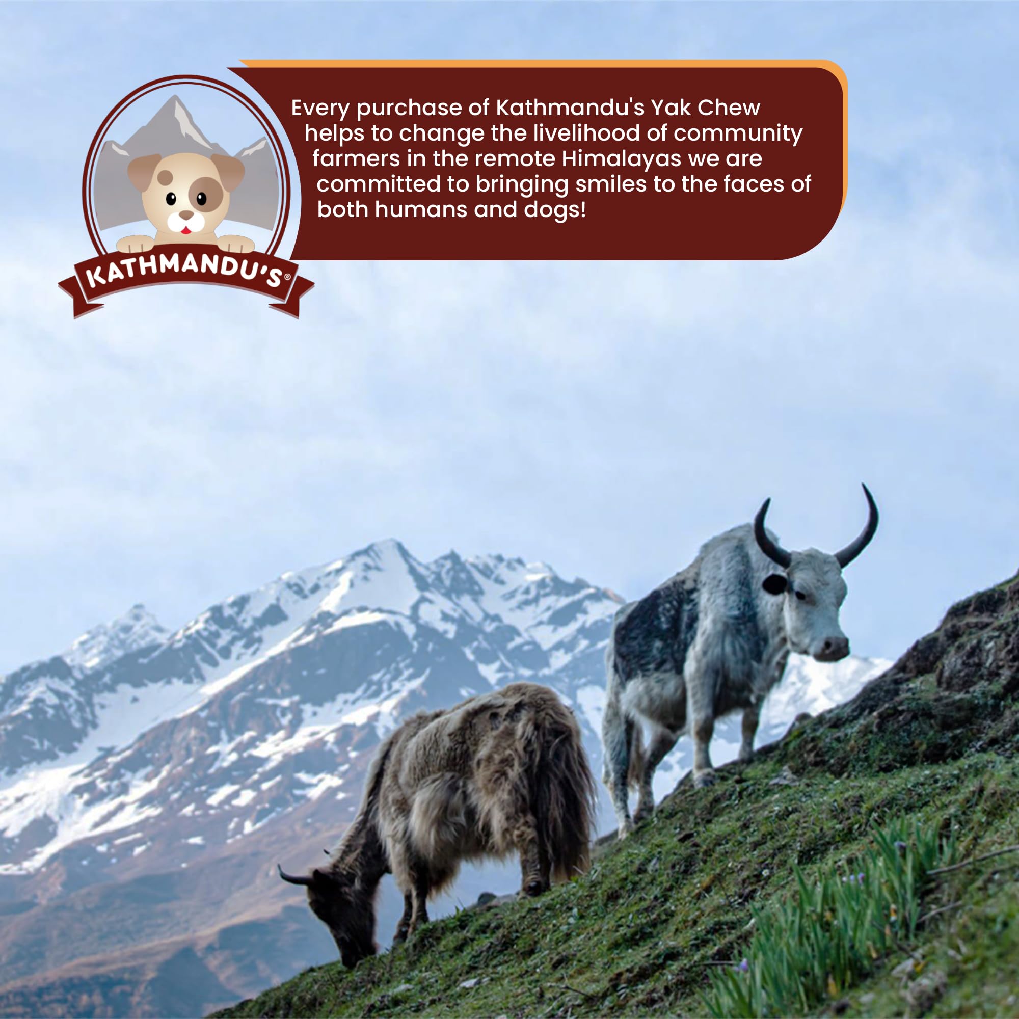 KATHMANDU'S logo and packaging showcasing premium natural dog treats.
