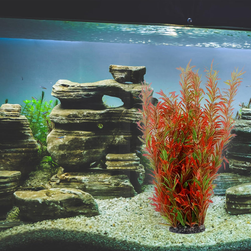 KATHSON aquarium setup image highlights enhanced natural ambience.