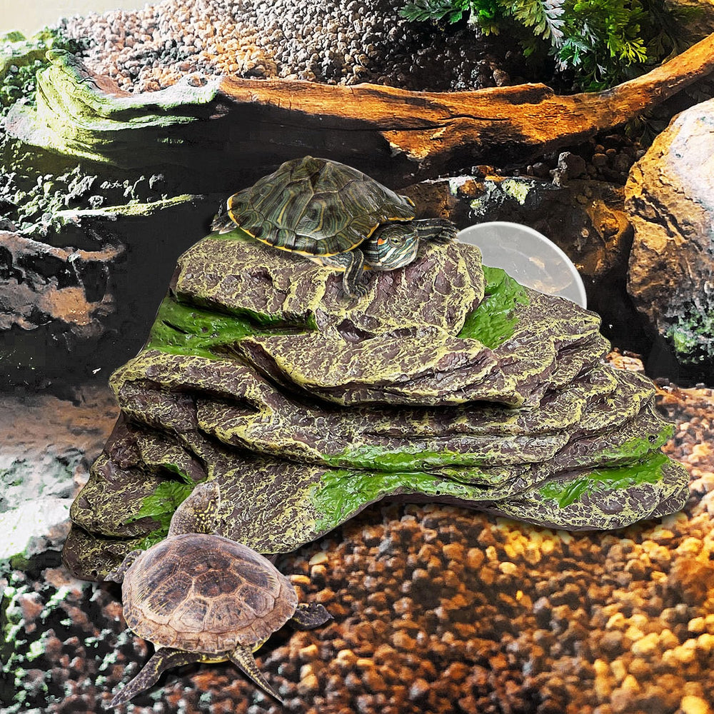 kathson basking platform on water for small reptiles and amphibians