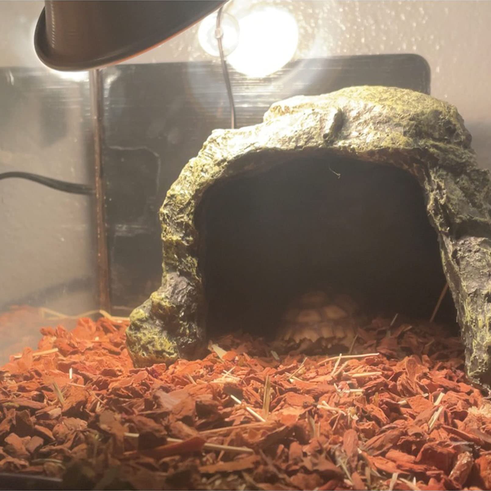 Kathson Bearded Dragon Basking Rock offers elevated sunning for thermoregulation.